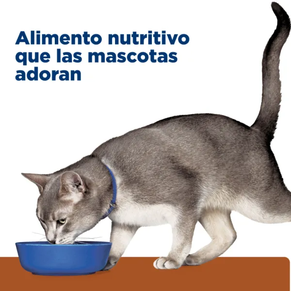 Sale Hill's Hills Lata Feline K/D Cuidado Ri On Alimento H Medo Para Gatos