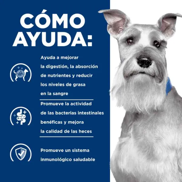 Clearance Hill's Prescription Diet Cuidado Digestivo Bajo En Grasa Alimento H Medo Para Perro 156 Gr