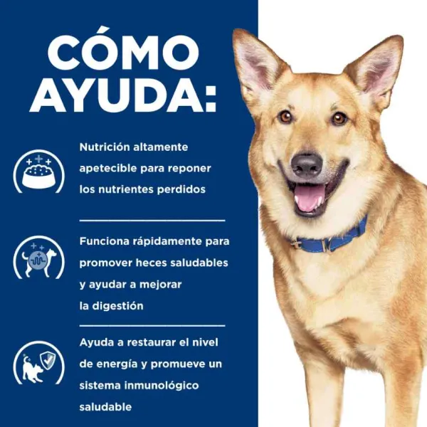 Hill's Prescription Diet Cuidado Digestivo Alimento H Medo Para Perros Peque Os 156 Gr