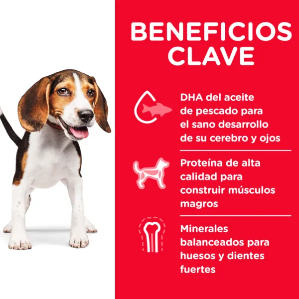 Hill's Hills Puppy Healthy Development Alimento Para Perro