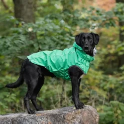 Clearance GF PET Impermeable Reversible Verde