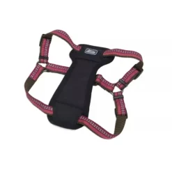 Hot Coastal K9 Explorer Arn S Acolchado Guinda