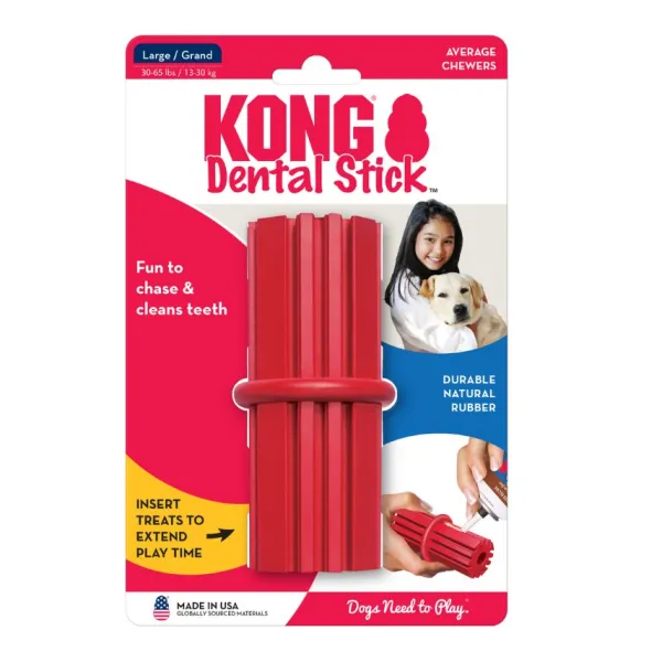 Best Kong Dental Stick