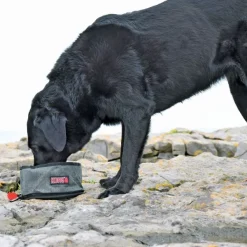Kong Fold-Up Travel Bowl
