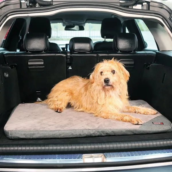 Best Kong Fold-Up Travel Mat