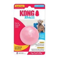 Online Kong Puppy Ball