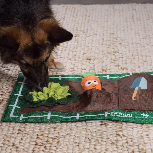 Online Nina Ottosson Mat De Entrenamiento Garden Game