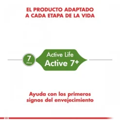 Clearance Royal Canin Adulto Active 7+ Alimento Para Gato
