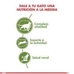 Clearance Royal Canin Adulto Active 7+ Alimento Para Gato