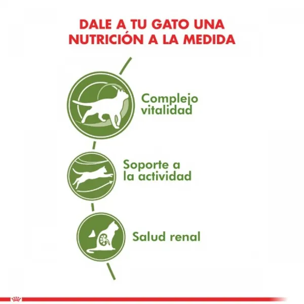 Clearance Royal Canin Adulto Active 7+ Alimento Para Gato
