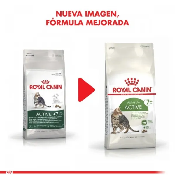 Clearance Royal Canin Adulto Active 7+ Alimento Para Gato