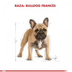 Sale Royal Canin Adulto Bulldog Frances Alimento Para Perro