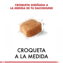 Online Royal Canin Adulto Dachshund Alimento Para Perro