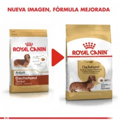 Online Royal Canin Adulto Dachshund Alimento Para Perro