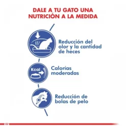 Clearance Royal Canin Adulto Indoor Alimento Para Gato