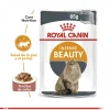 Outlet Royal Canin Adulto Intense Beauty Alimento H Medo Para Gatos