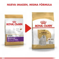 Best Royal Canin Adulto Maltes Adult Alimento Para Perro