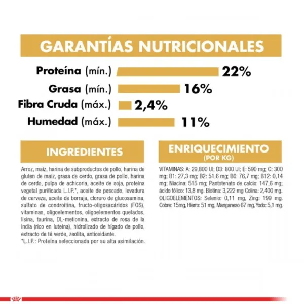 Best Royal Canin Adulto Maltes Adult Alimento Para Perro
