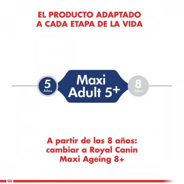 Outlet Royal Canin Adulto Maxi Adulto 5+ Alimento Para Perro