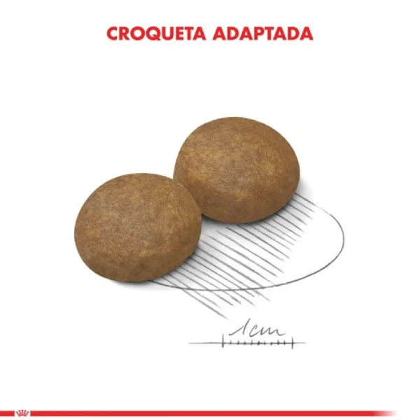 Outlet Royal Canin Adulto Maxi Adulto 5+ Alimento Para Perro