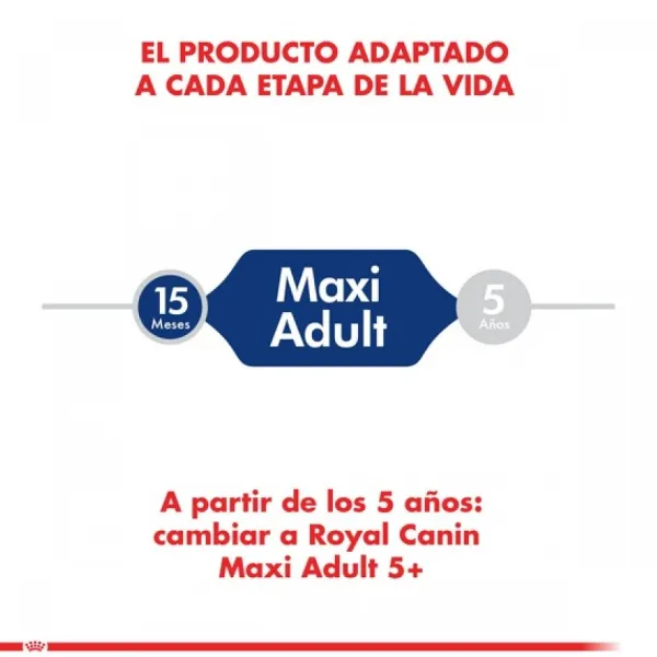 Outlet Royal Canin Adulto Maxi Adult 15 Kg Alimento Para Perro