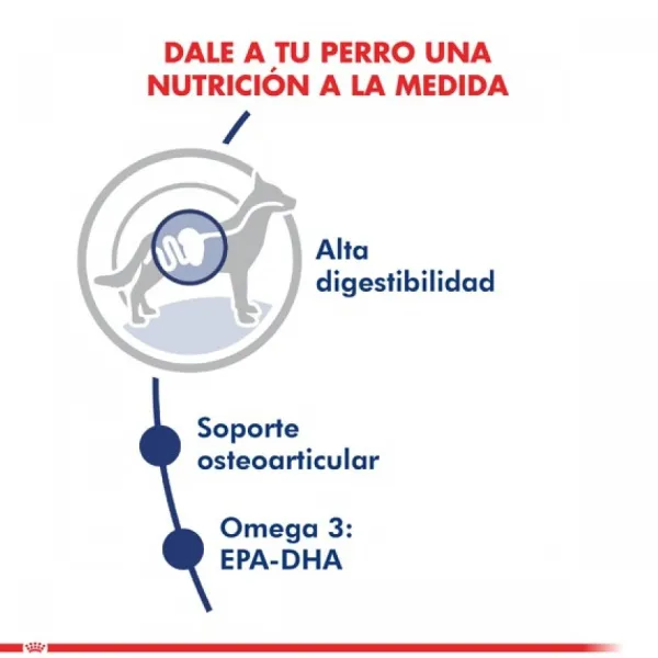 Outlet Royal Canin Adulto Maxi Adult 15 Kg Alimento Para Perro