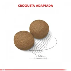 Outlet Royal Canin Adulto Maxi Adult 15 Kg Alimento Para Perro
