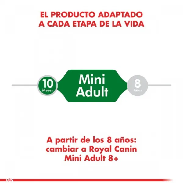 Best Royal Canin Adulto Mini Adult Alimento Para Perro