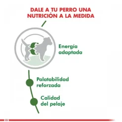 Best Royal Canin Adulto Mini Adult Alimento Para Perro