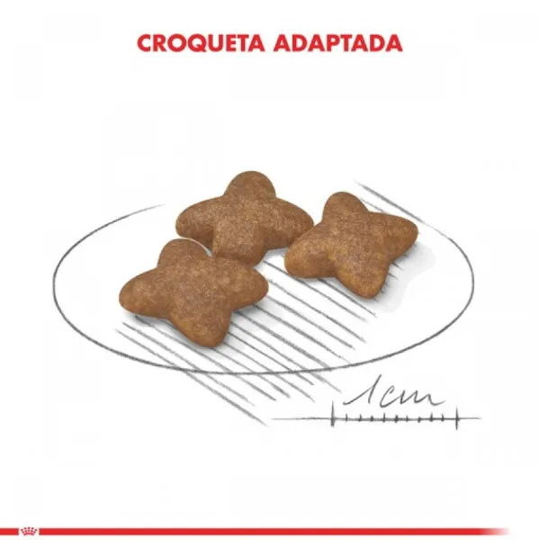 Best Royal Canin Adulto Mini Adult Alimento Para Perro