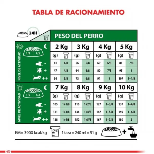 Best Royal Canin Adulto Mini Adult Alimento Para Perro