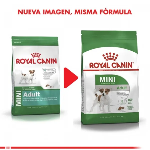 Best Royal Canin Adulto Mini Adult Alimento Para Perro