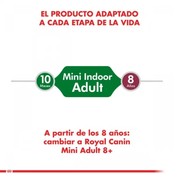 Best Royal Canin Adulto Mini Indoor Adult Alimento Para Perro