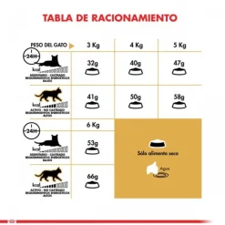 Outlet Royal Canin Adulto Persian 1.5 Kg Alimento Para Gato