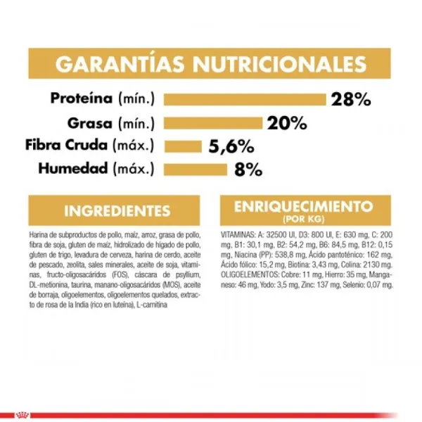 Outlet Royal Canin Adulto Persian 1.5 Kg Alimento Para Gato