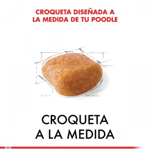 Online Royal Canin Adulto Poodle Adult Alimento Para Perro