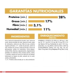Online Royal Canin Adulto Poodle Adult Alimento Para Perro