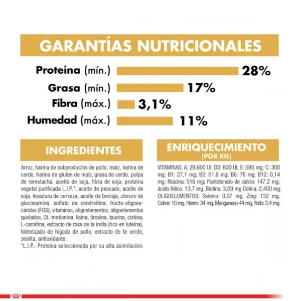 Online Royal Canin Adulto Poodle Adult Alimento Para Perro