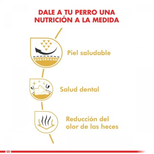 Sale Royal Canin Adulto Shih Tzu Alimento Para Perro