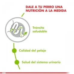 Sale Royal Canin Adulto X-Small Adult Alimento Para Perro