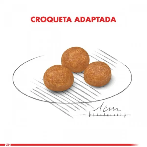 Sale Royal Canin Adulto X-Small Adult Alimento Para Perro