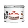 Sale Royal Canin Alimento H Medo Perro Adulto Recovery