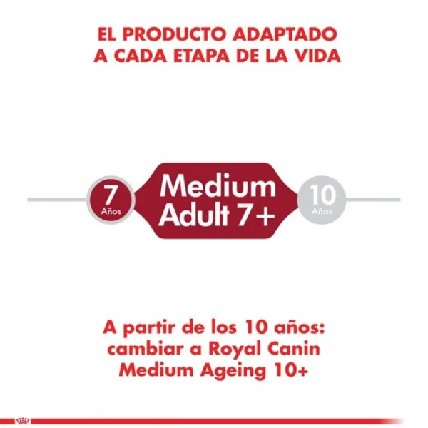 Royal Canin Alimento Seco Perro Adulto Medium Adult 7+