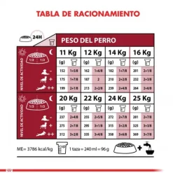 Royal Canin Alimento Seco Perro Adulto Medium Adult 7+
