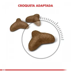 Hot Royal Canin Alimento Seco Gato Adulto Light Weight