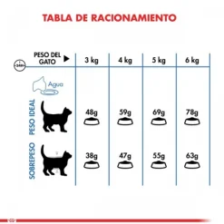Hot Royal Canin Alimento Seco Gato Adulto Light Weight