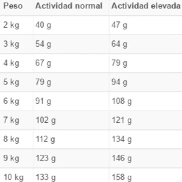 Best Royal Canin Alimento Seco Perro Adulto Mini Light