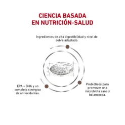 Best Royal Canin Alimento Seco Perro Adulto Hepatic