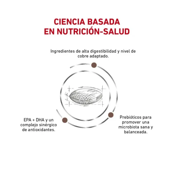 Best Royal Canin Alimento Seco Perro Adulto Hepatic