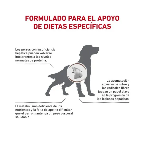 Best Royal Canin Alimento Seco Perro Adulto Hepatic